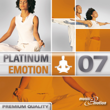 Platinum Emotion 07