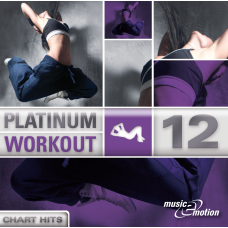 Platinum Workout 12 - Chart Hits