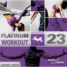 Platinum Workout 23 - Chart Hits