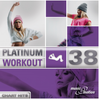 Platinum Workout 38 - Chart Hits