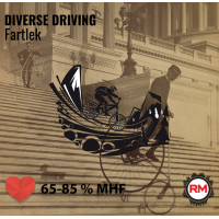Roadmaster Fartlek - DIVERSE DRIVING