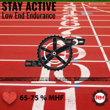 Roadmaster Low End Endurance - STAY ACTIVE