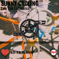 Roadmaster Low End Endurance - SUNNY CYCLING