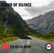 Roadmaster Hill - SOUND OF SILENCE
