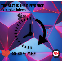 Roadmaster Extensive Interval - THE BEAT IS THE DIFFERENCE